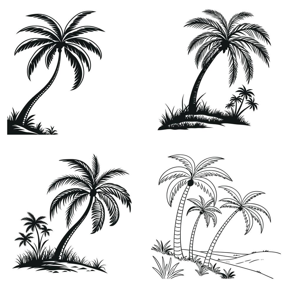 Tropical Palm Tree Silhouette For Graphic Design vector