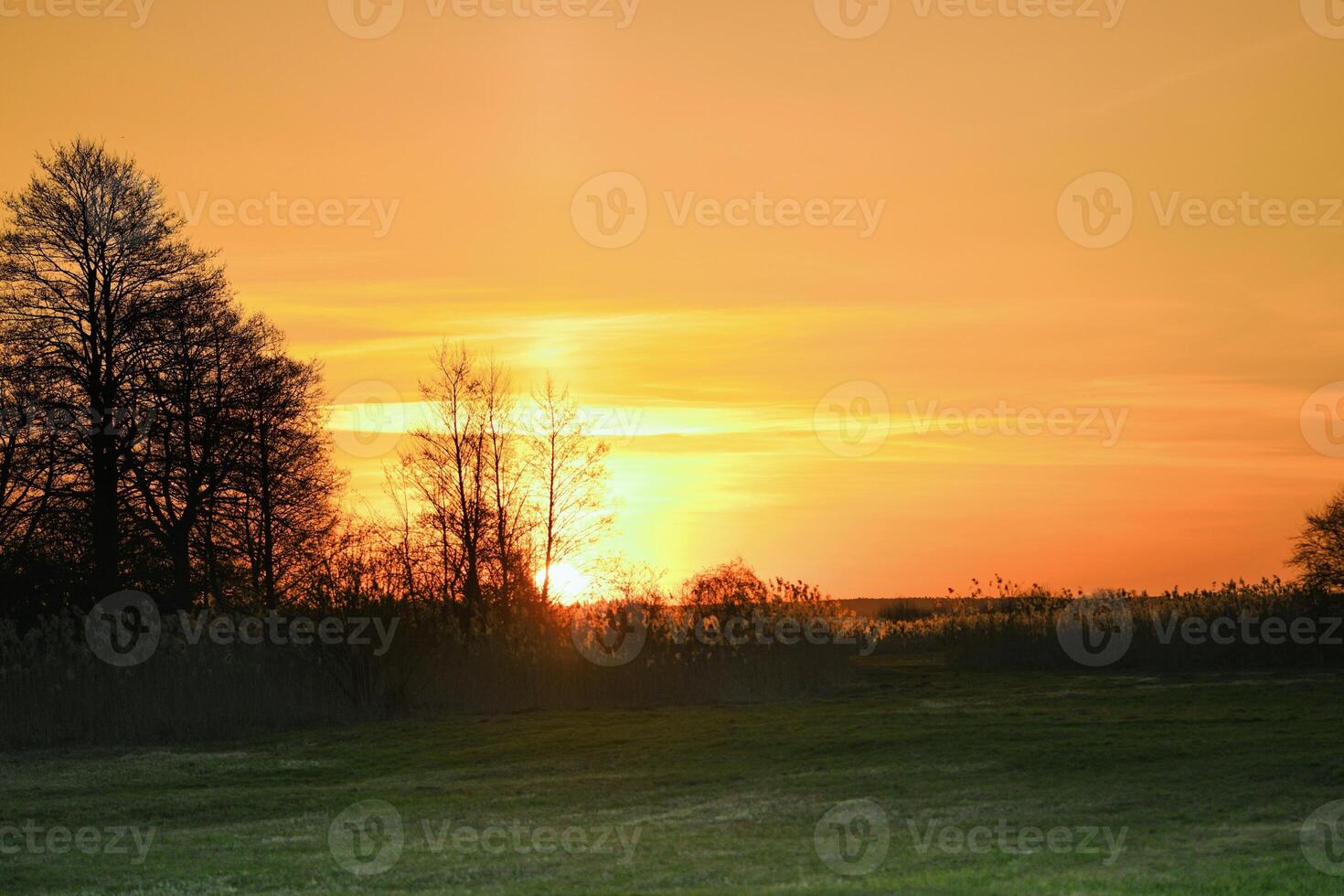 Amber Awakening The Glow of First Light photo
