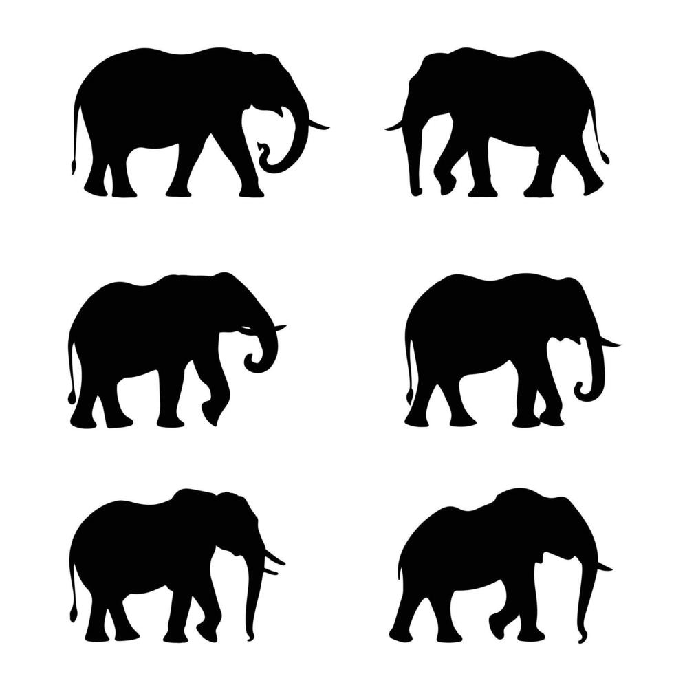 Elephant silhouette set collection design vector