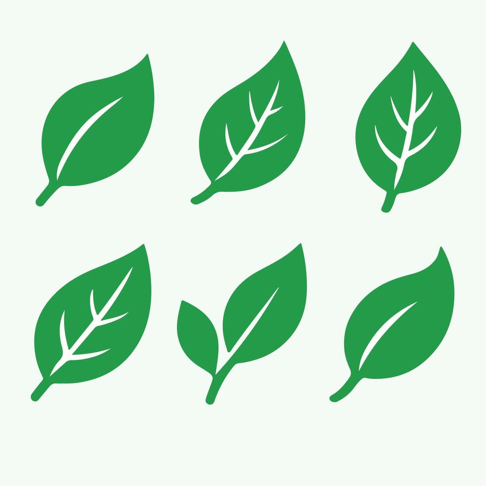 Six Simple Green Leaf Icons Nature Symbols Flat Ecology Logo Set leaves vector