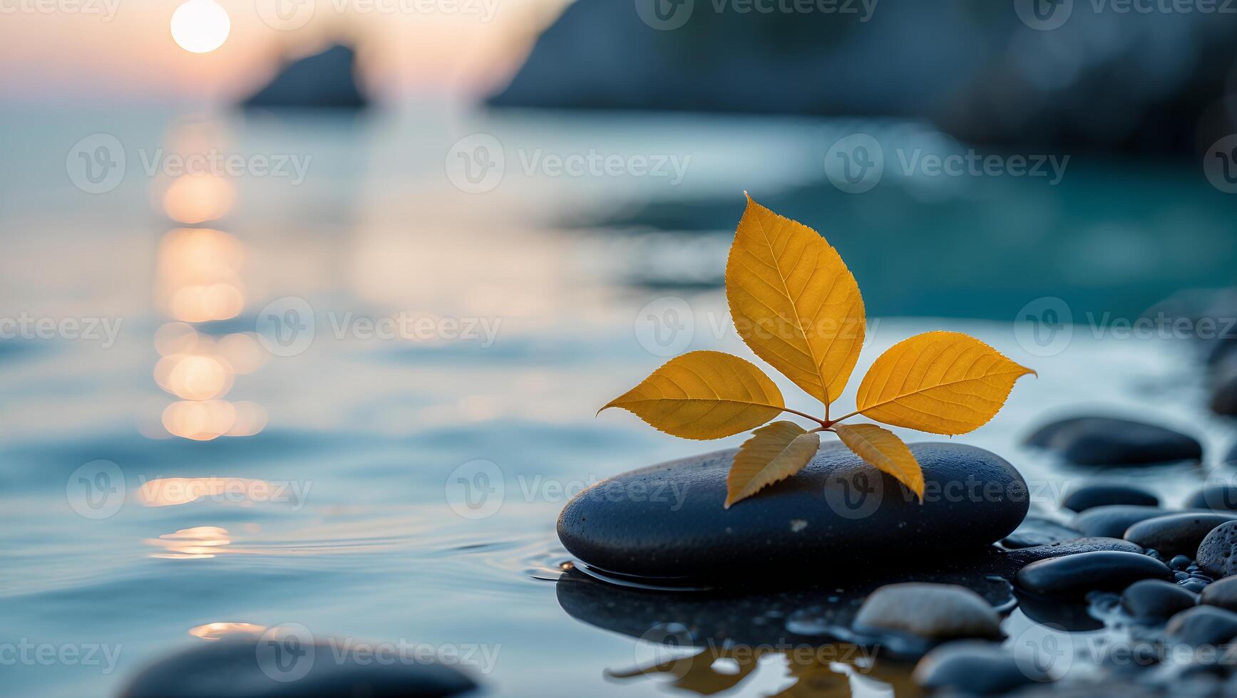 Leaf on River Stone at Sunset Coastal Scene Calm Meditation photo