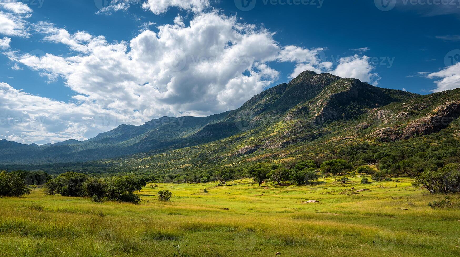 High resolution summer-nature with lush greenery photo