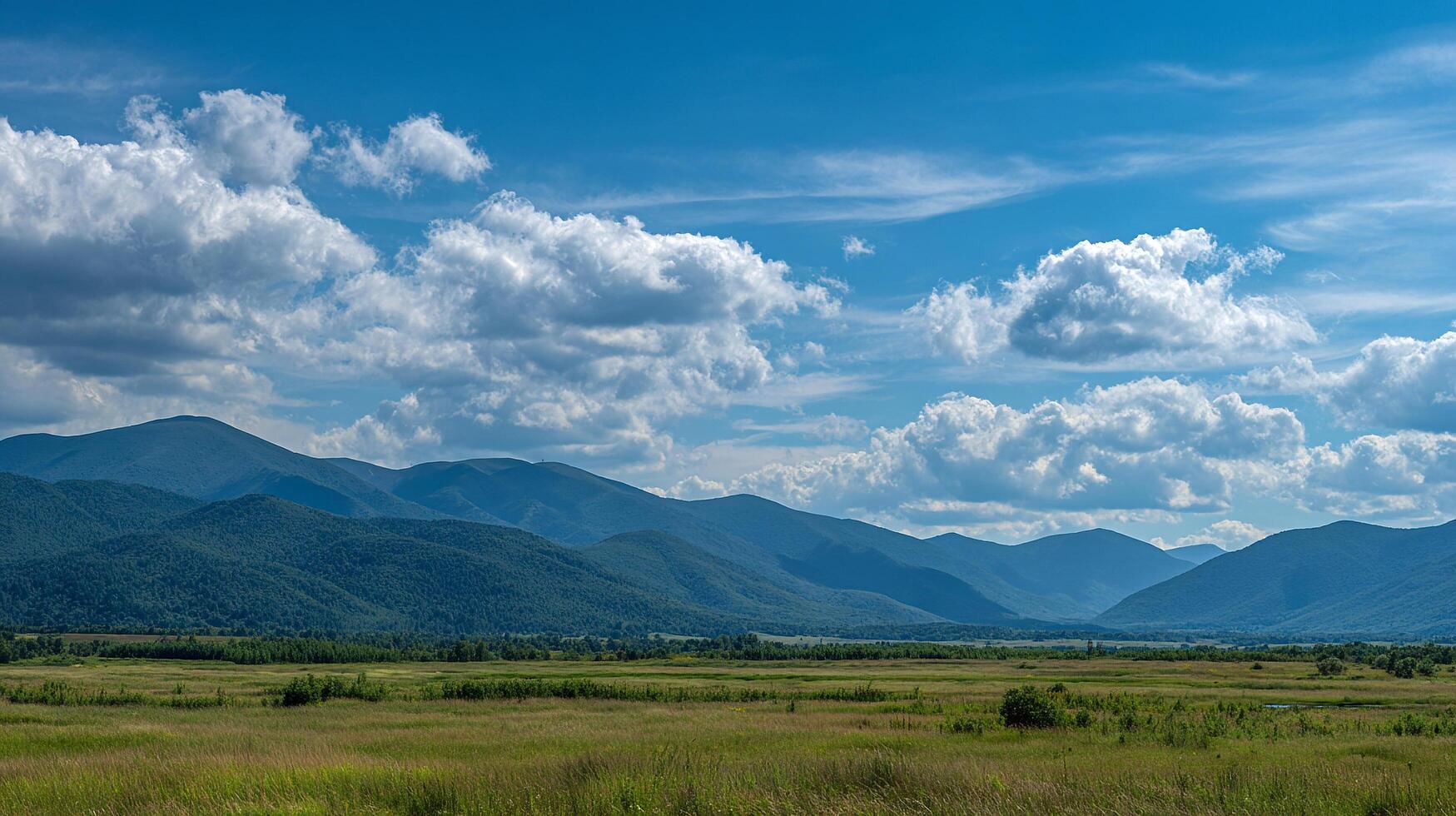 Clear blue sky photography over vivid summer nature photo