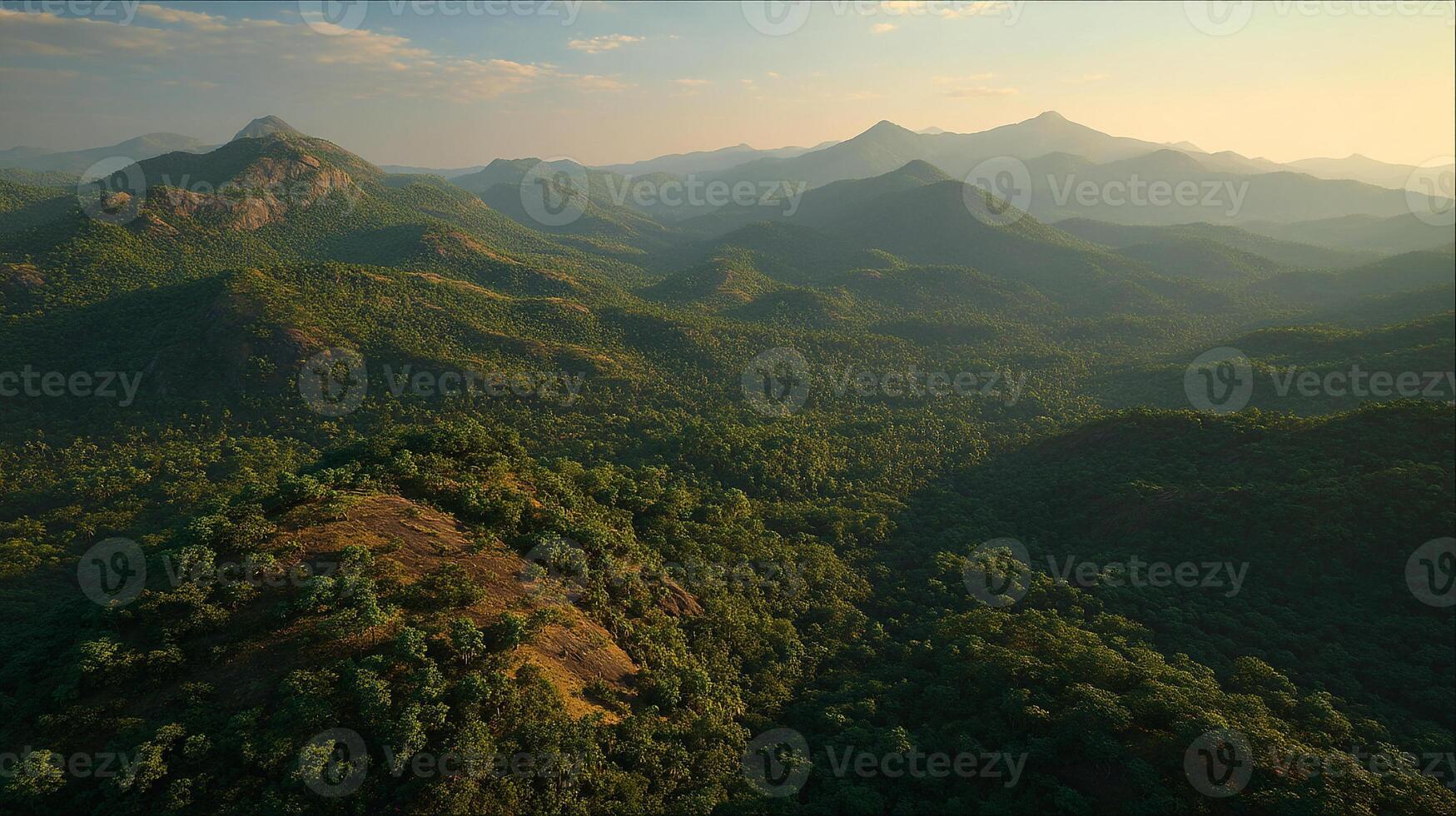 Professional photo of natural scenery environment