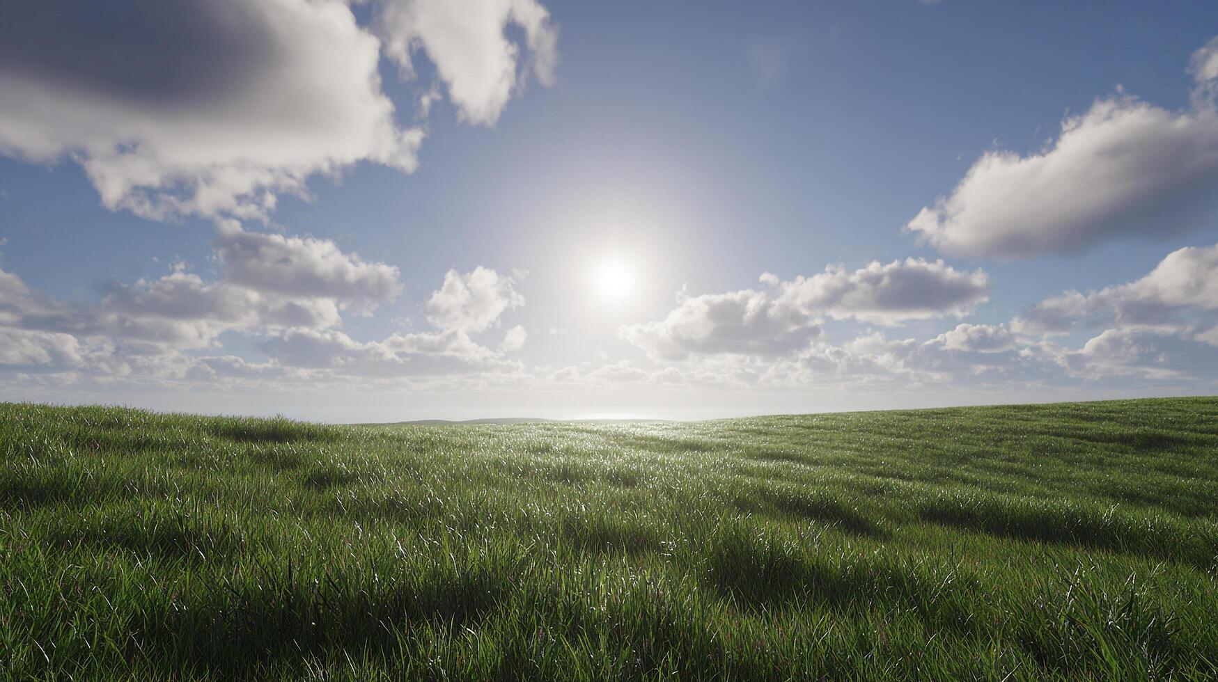 Summer meadow with sharp green textures in landscape scenery photo