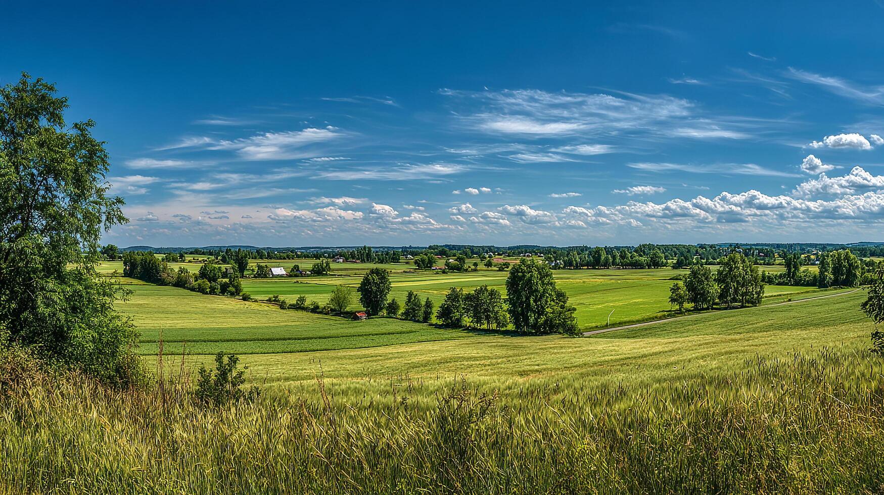 Photorealistic landscape scenery of summer with bright sunlight photo