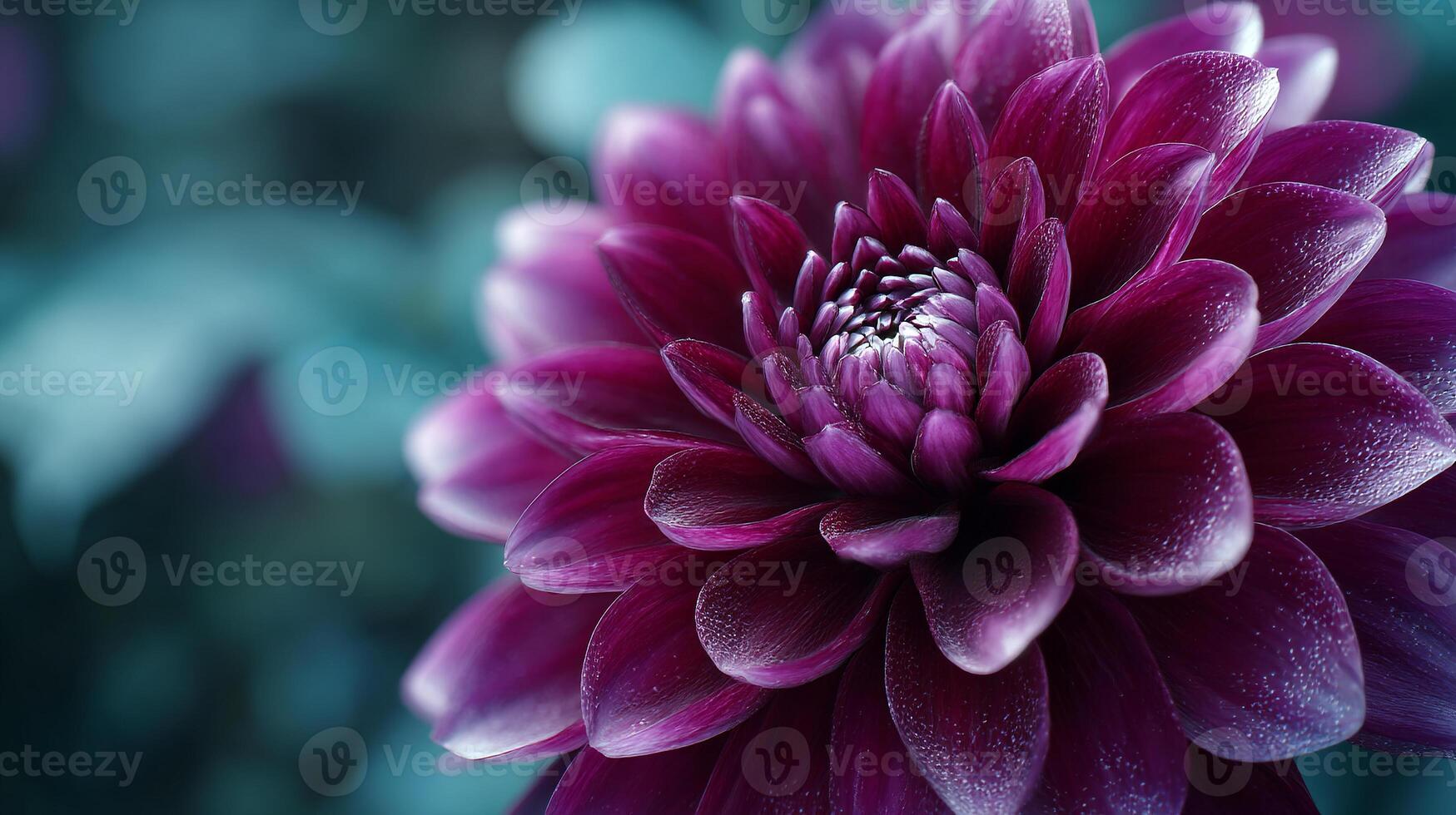 Sharp focus flower in nature photography photo