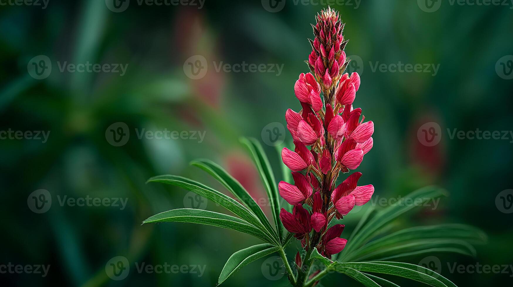 Blooming flower in natural photo scene