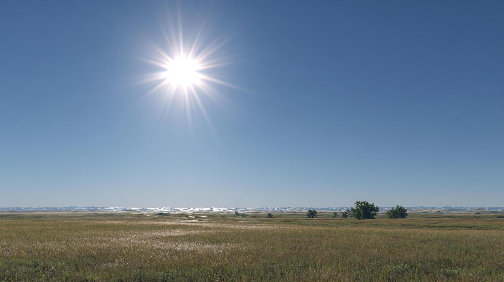 Bright open meadow on a sunny day in summer landscape scenery photo