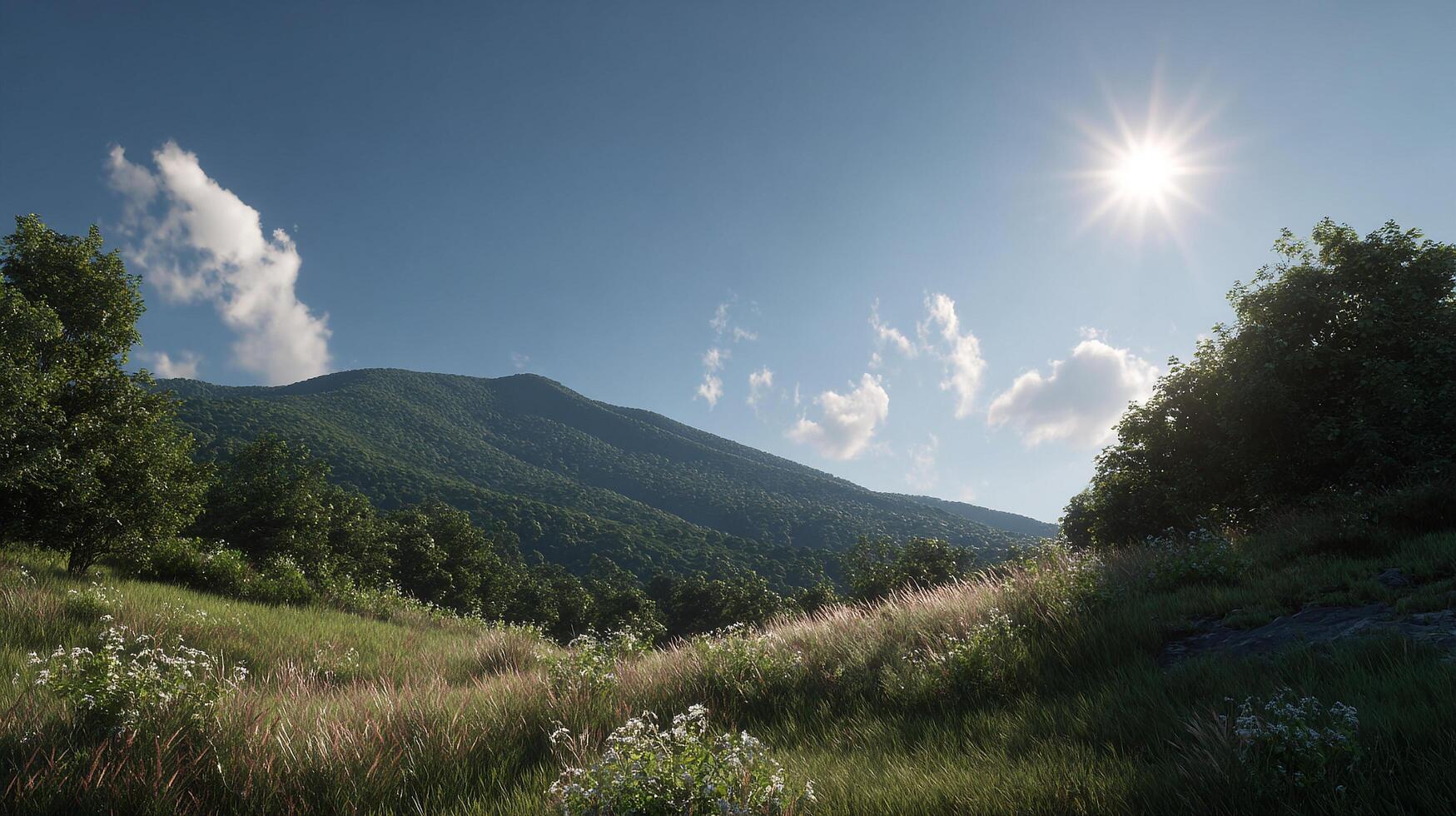 Summer field glowing under bright sunlight in landscape scenery photo