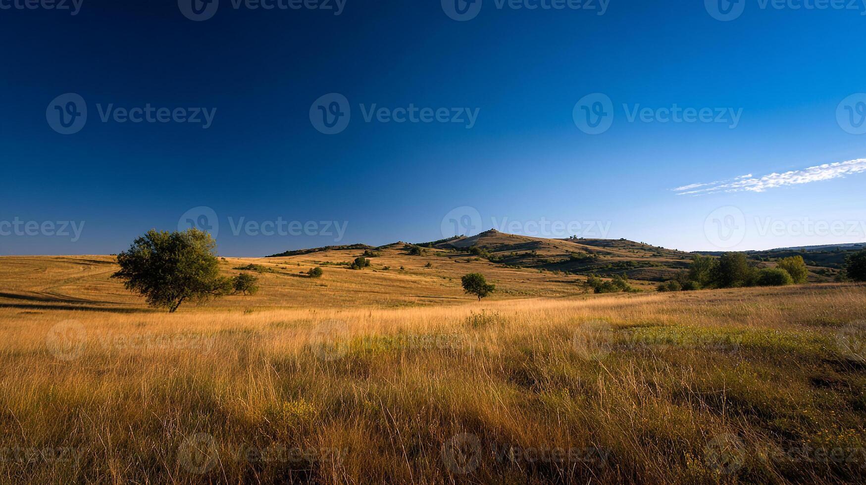 Sharp textures define the photorealistic summer landscape scenery photo