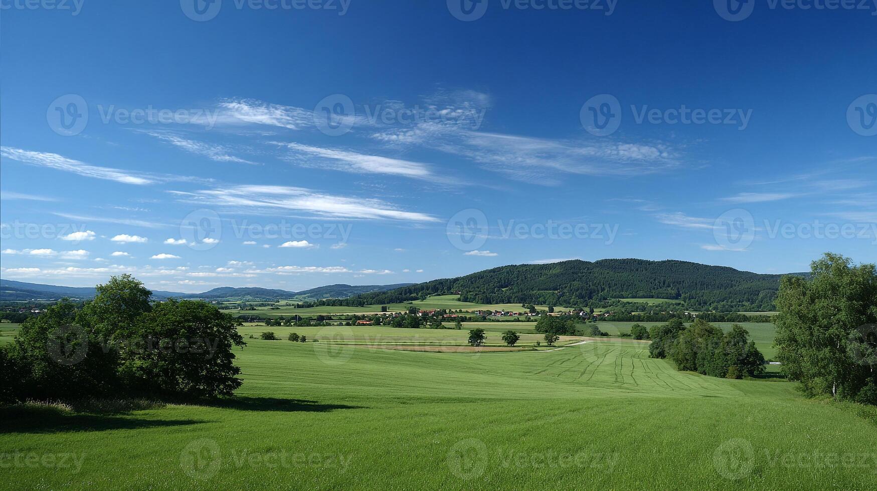 Lush greenery fills high resolution summer landscape scenery of nature photo