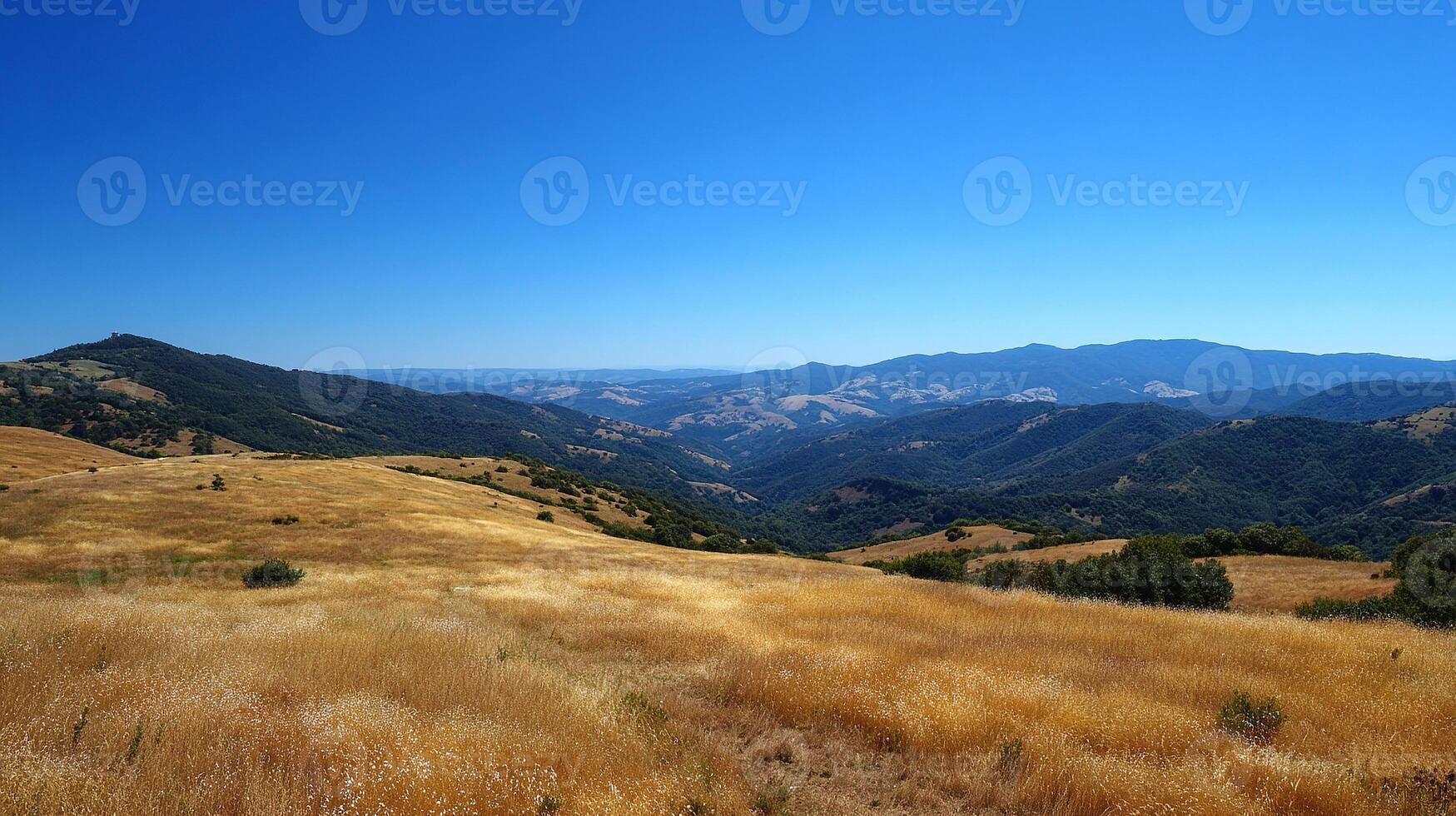 Detailed summer nature with lush grass in landscape scenery photo