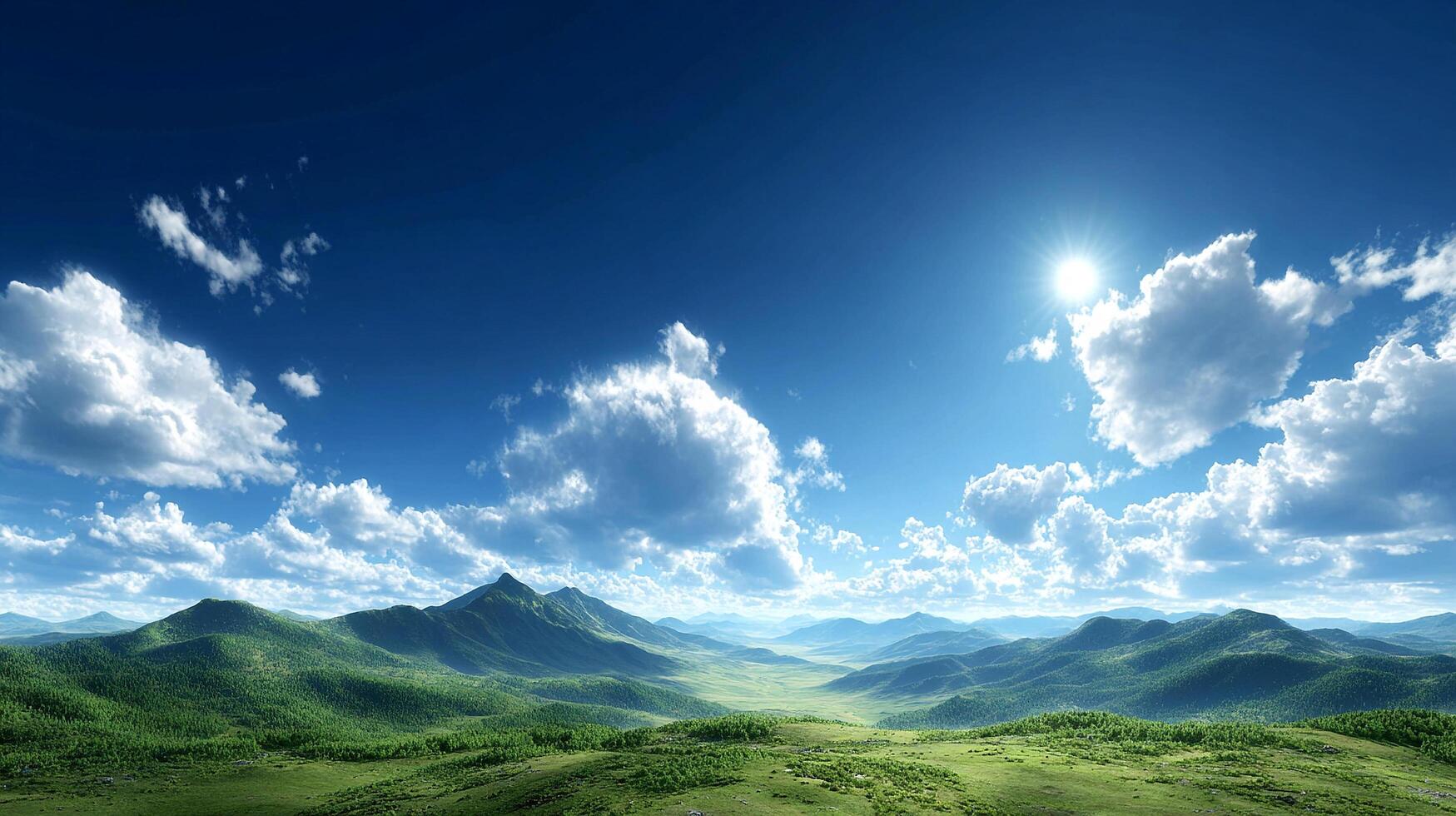 Natural scenery highlighting textures in summer field landscape photo