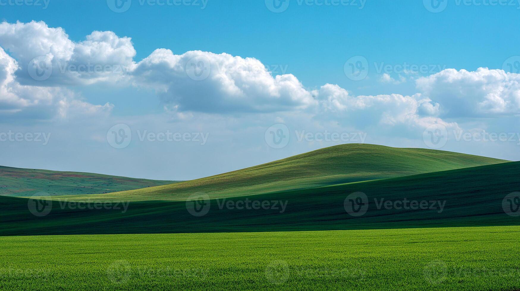 Detailed summer field photography in bright natural light photo