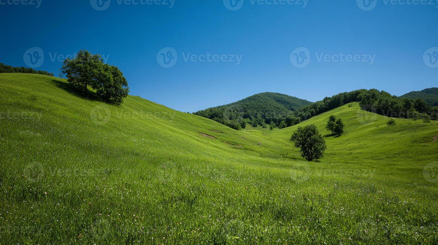 High detail summer nature photography with clear sky photo