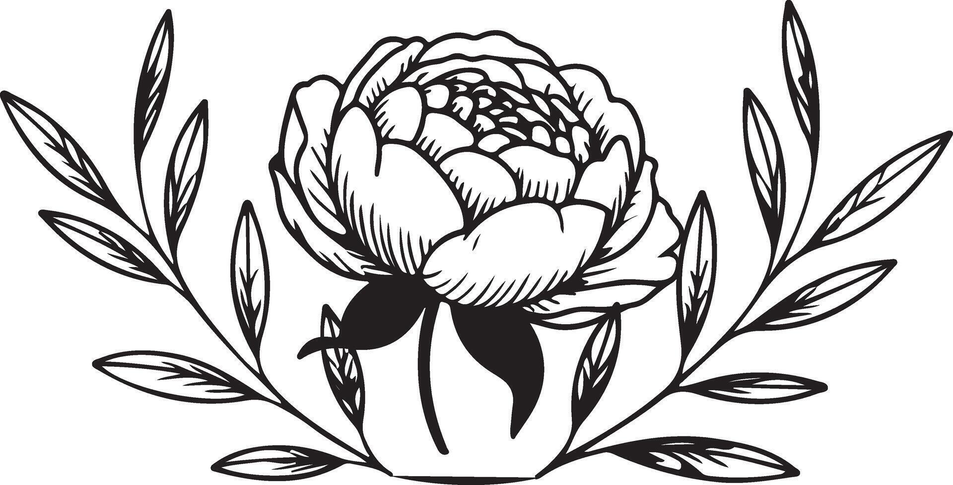 A black and white drawing of a peony flower vector