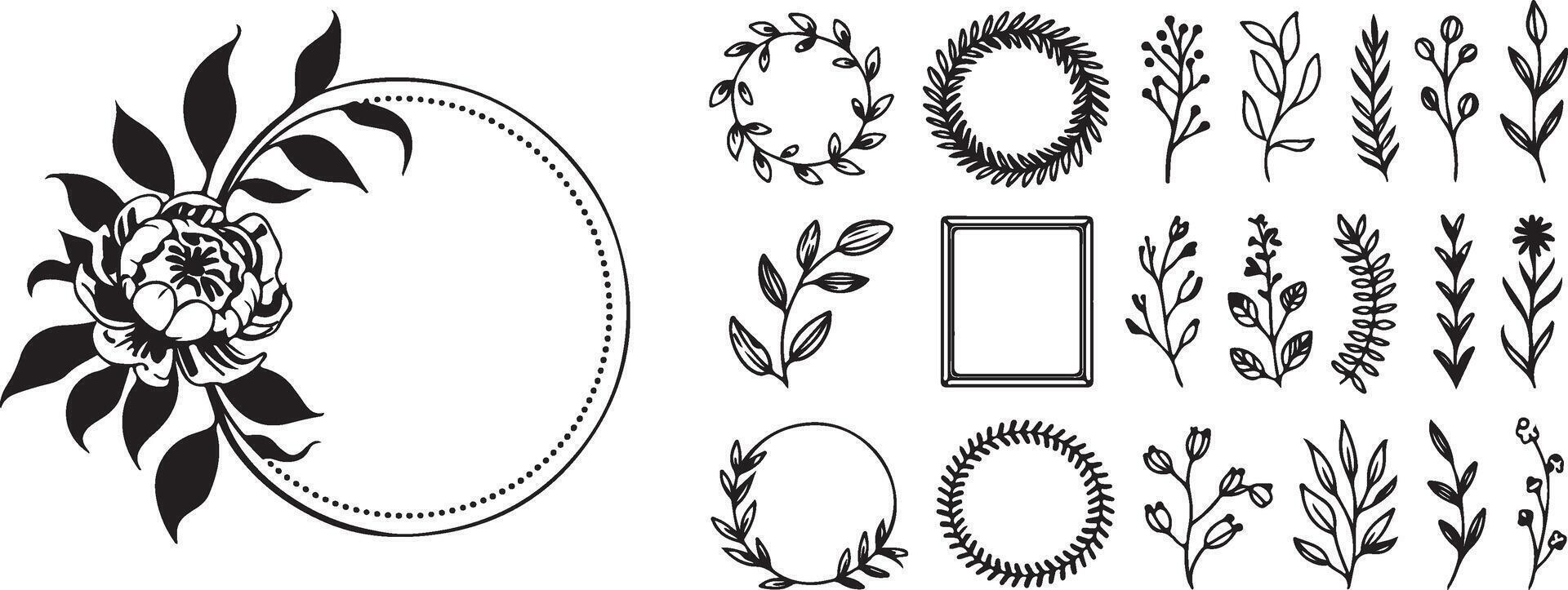 A set of black and white floral designs vector