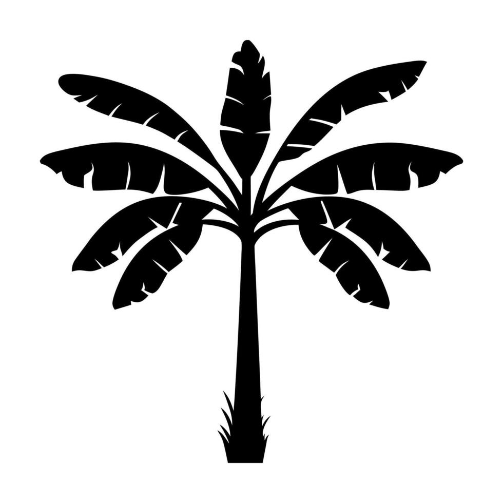 A new banana tree silhouette vector