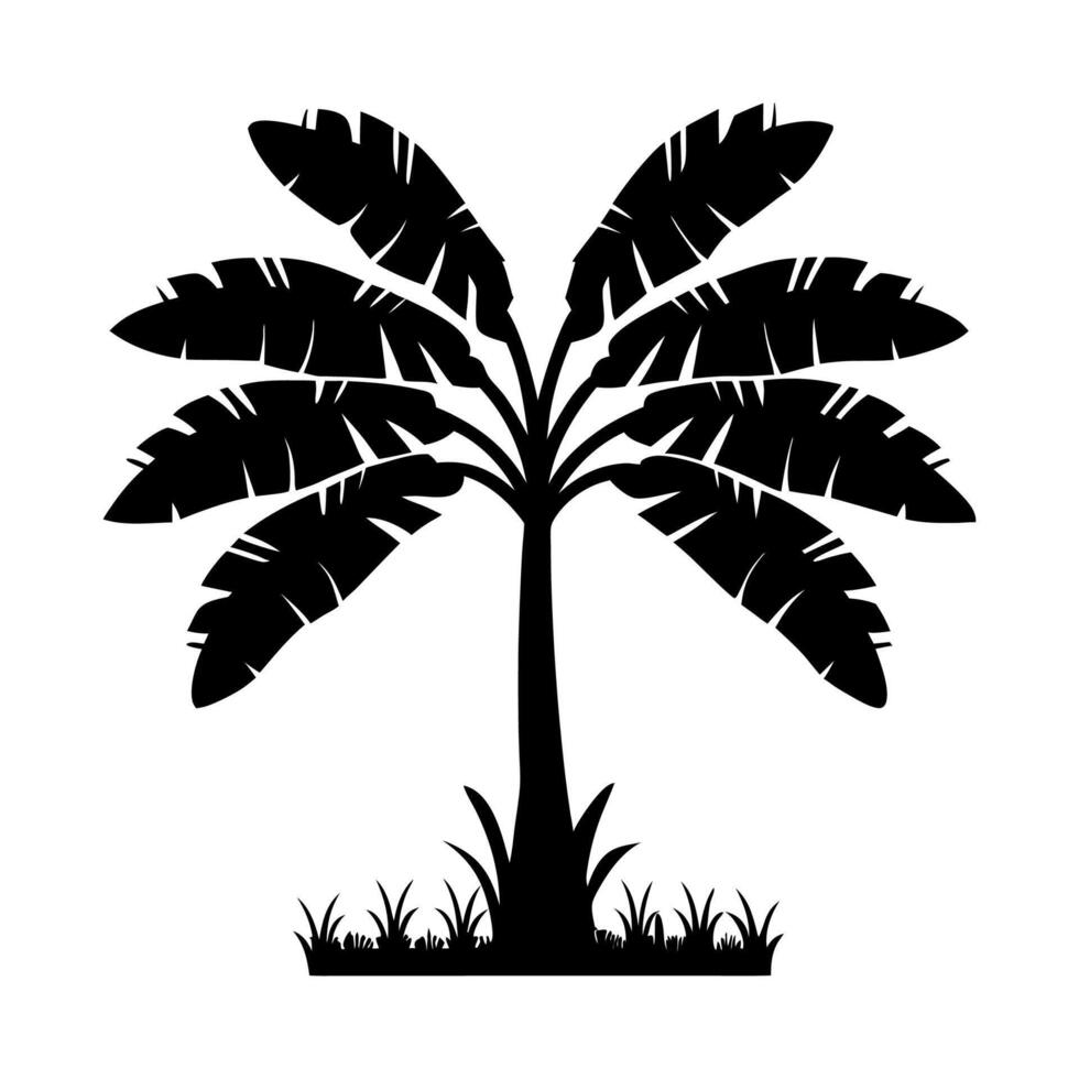 Silhouette of a banana tree vector