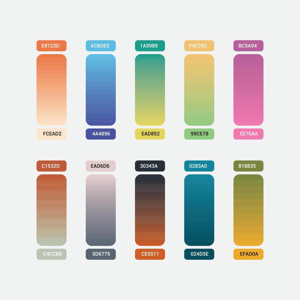 Colors palette set vector