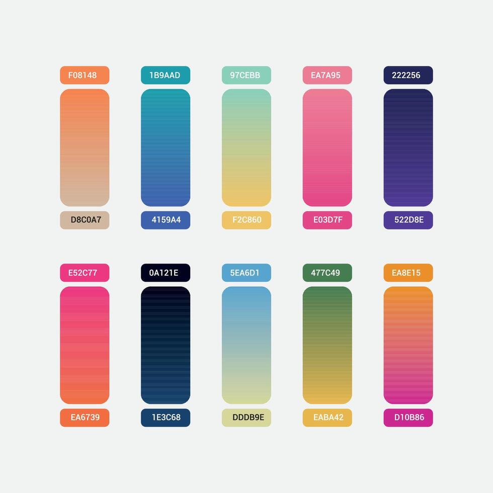 Color palette Color swatches vector