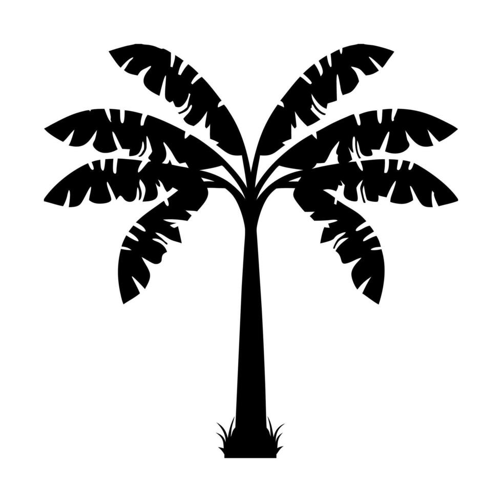 A banana tree silhouette illustration vector