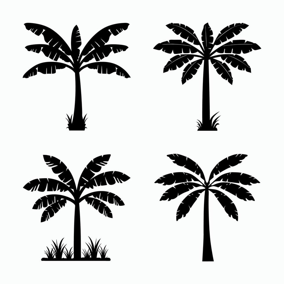 Modern banana tree silhouette vector