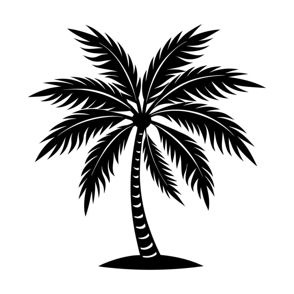 Tropical palm tree silhouette vector