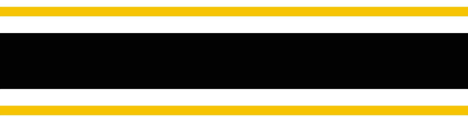 Triple Line Road Divider with Yellow Black and White vector