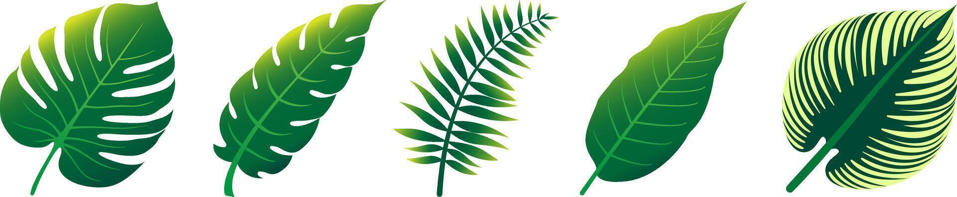 Set of tropical leaf illustrations in flat gradient style. Perfect for summer, botanical themes, nature backgrounds, eco designs, or tropical graphic projects. vector
