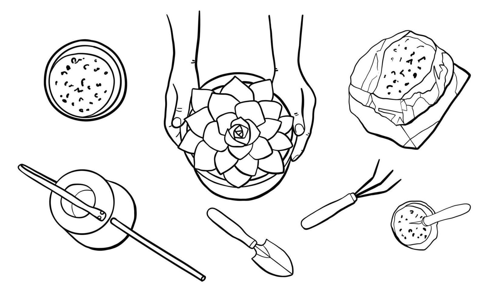 Human Hands Holding Succulent Houseplant in a Pot. Hand Drawn Line Illustration vector