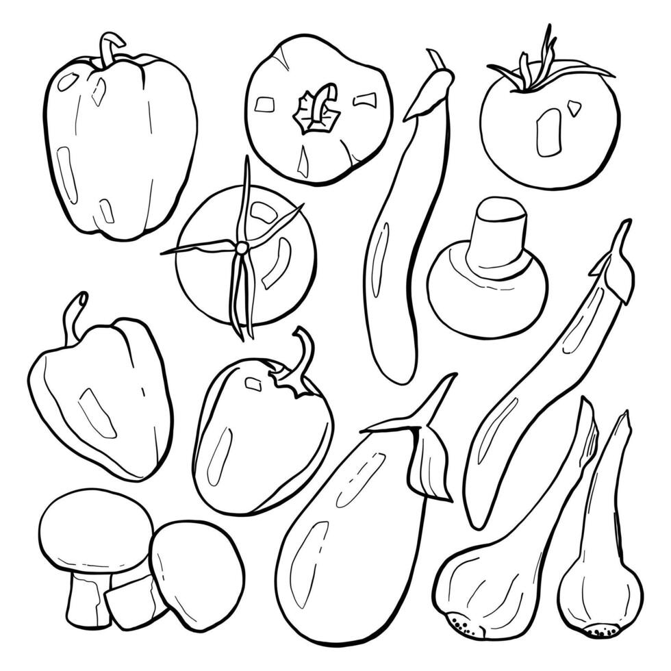 Vegetables Line Icon Set. Illustration in Black Outline Isolated on White Background vector