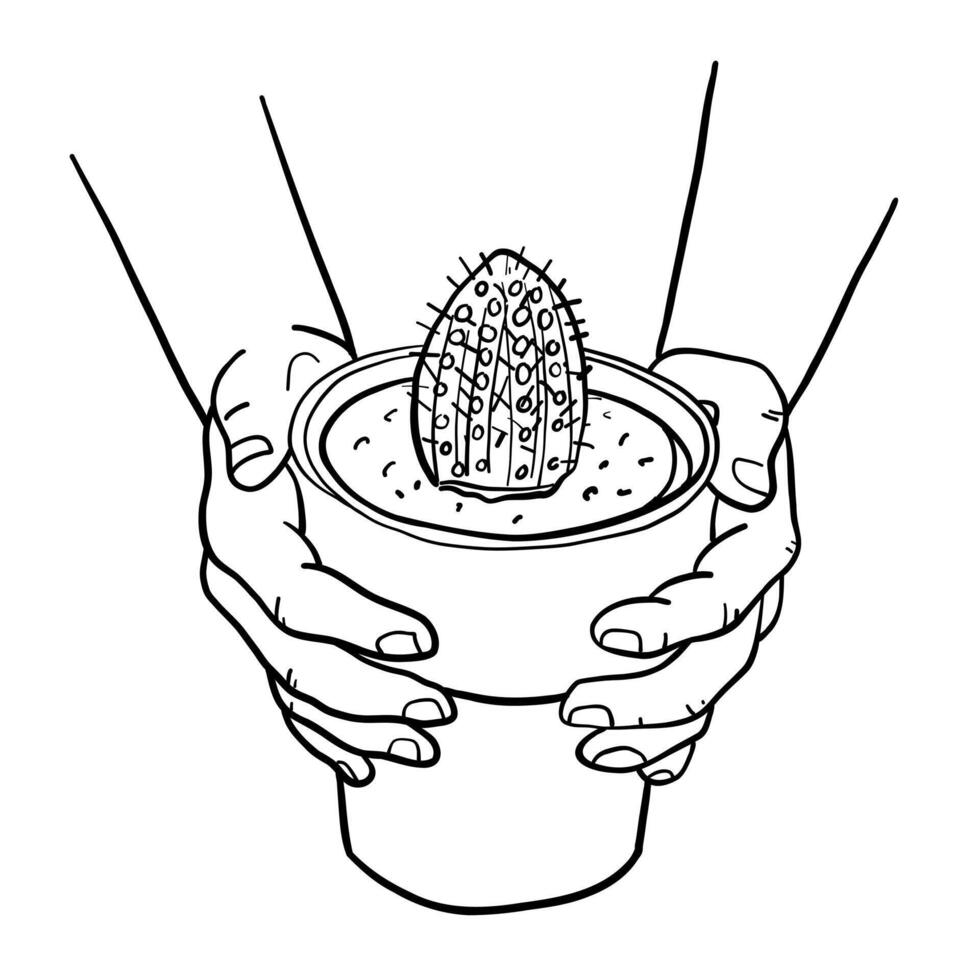 Human Hands Holding Cactus in Pot, Line Illustration vector