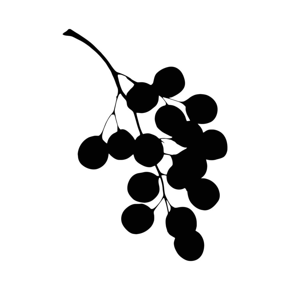 silhouette on white background of grab fruits vector