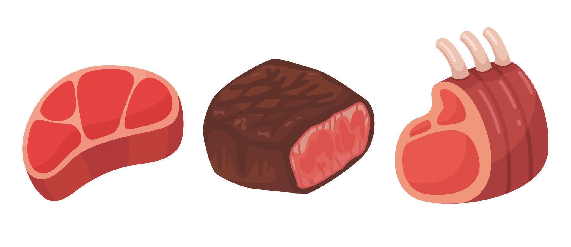 assorted meat cuts illustration vector