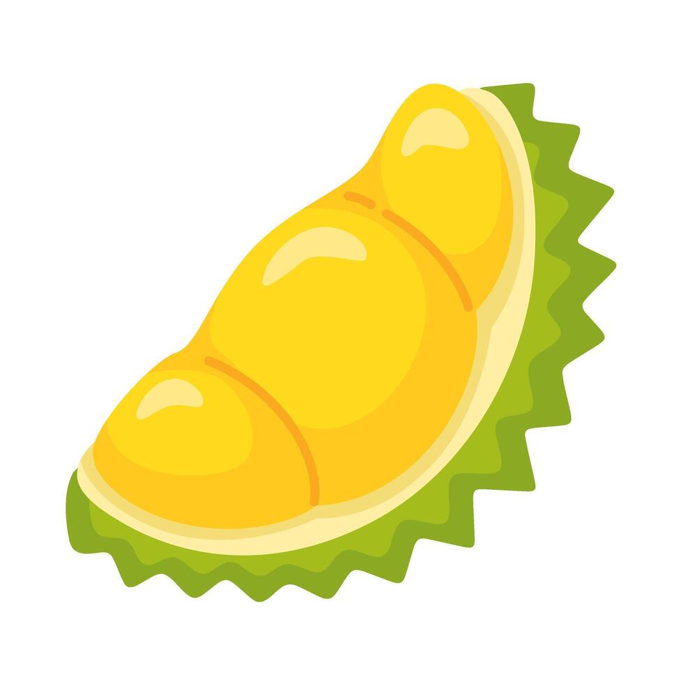 Fresh Durian Fruit with Spiky Shell and Creamy Yellow Flesh vector