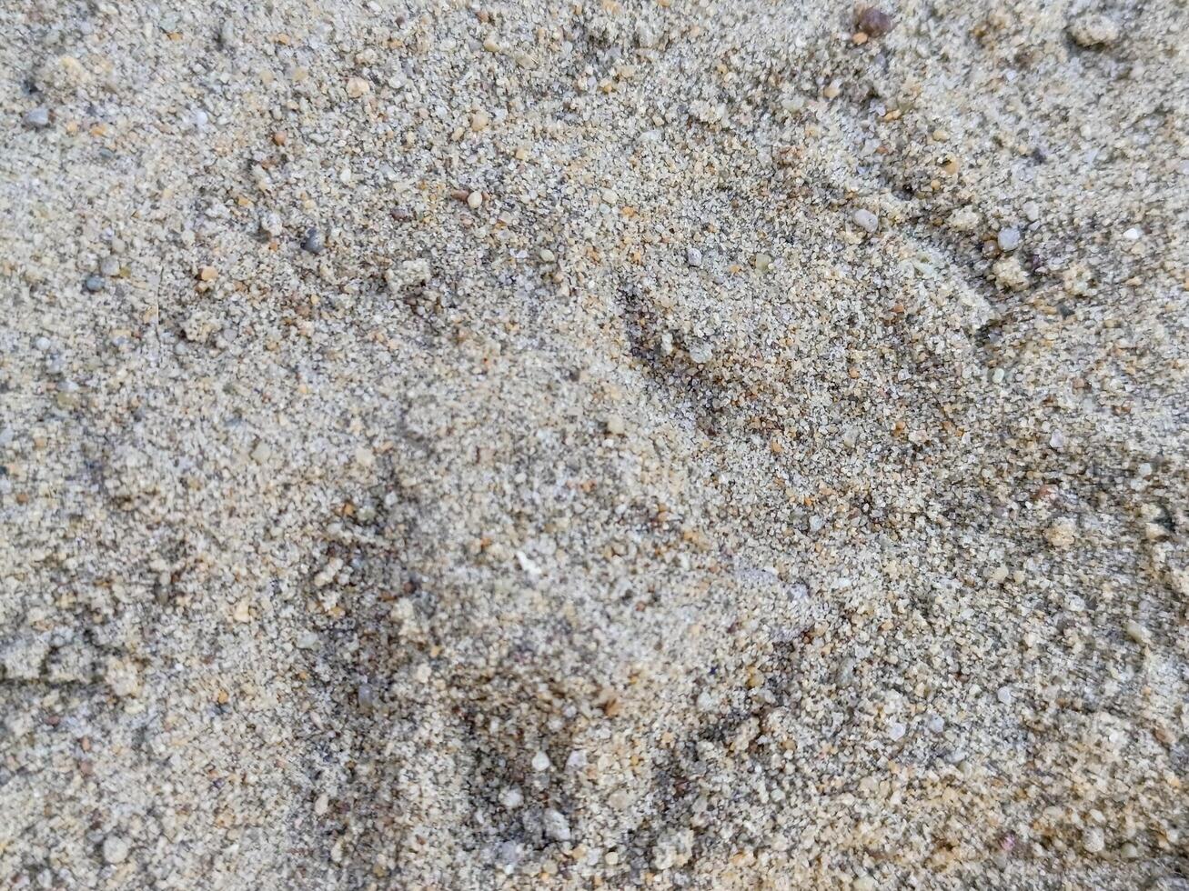 Natural sand background with uniform texture. Suitable for backgrounds, banners, designs and illustrations related to nature, travel or leisure. photo