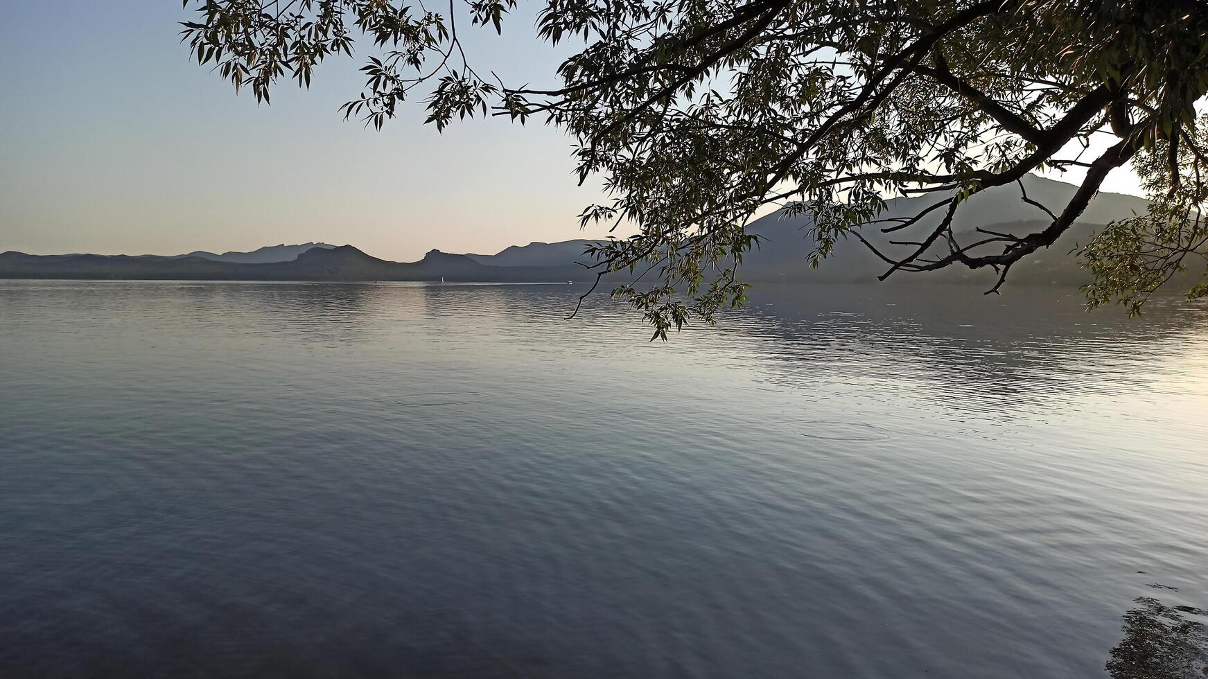 Sunset on the lake with a tree in the foreground and mountains in the background photo