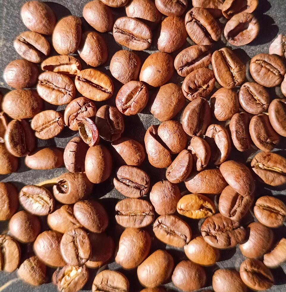 Coffee beans background image photo