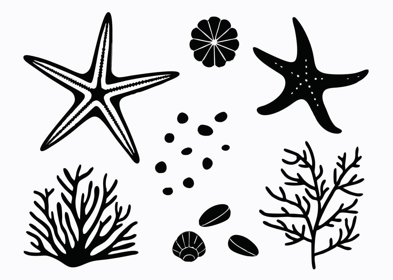 Black and white coastal elements illustration featuring starfish coral shells and seaweed for design vector