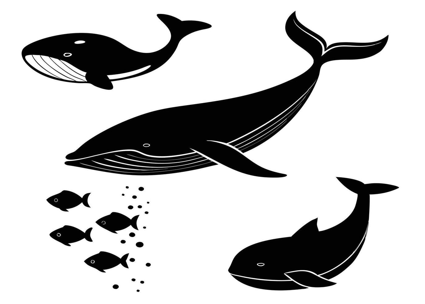 Black and white illustrations of whales and fish swimming together in the ocean environment. vector