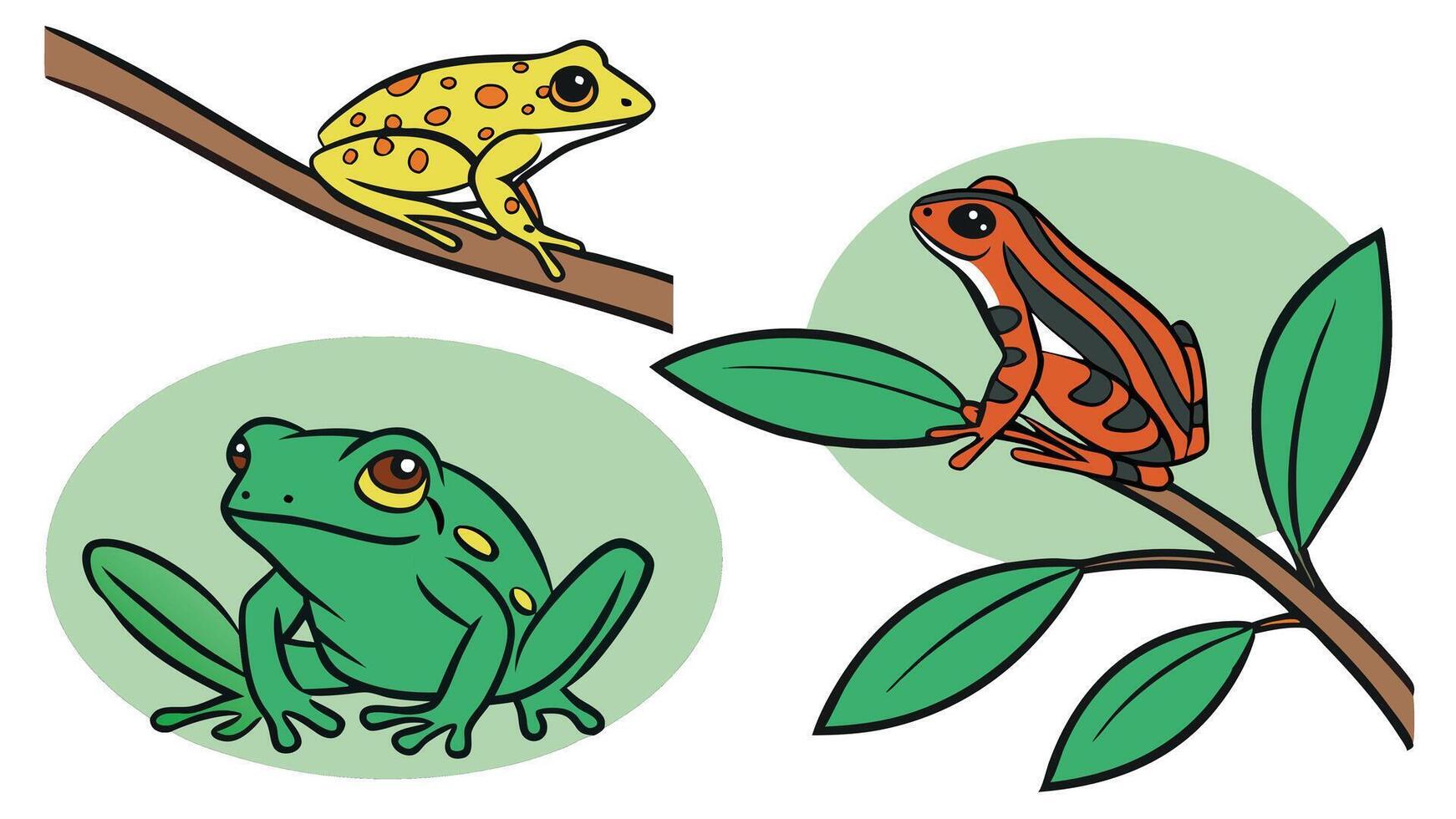 Cartoon illustrations of colorful frogs in different poses representing various amphibian species vector