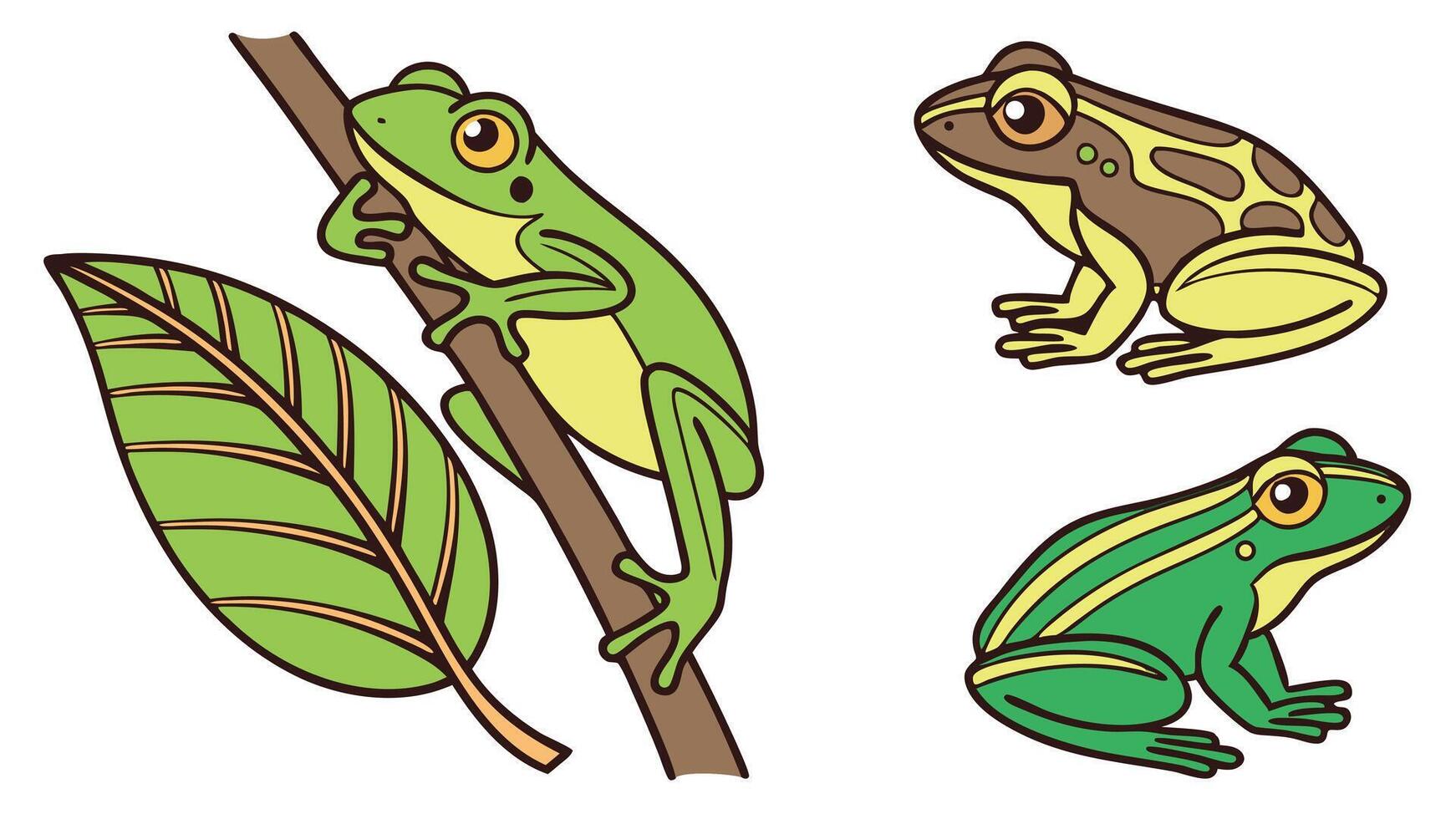 Cartoon illustrations of three colorful tree frogs with varying patterns isolated on a white background vector