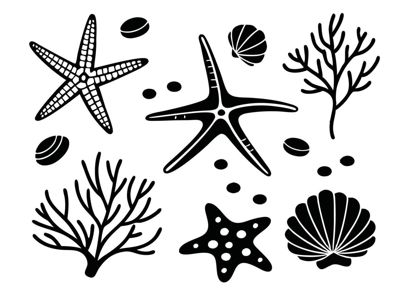 Black and white coastal marine elements illustration of starfish coral shells and pebbles design vector