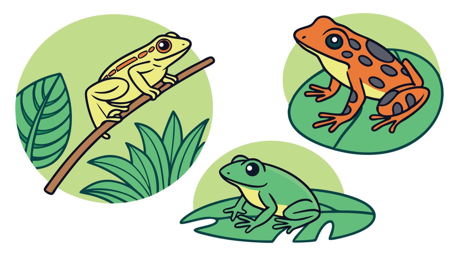Three colorful cartoon frogs in their natural habitats with leaves and green circles for decorative elements vector
