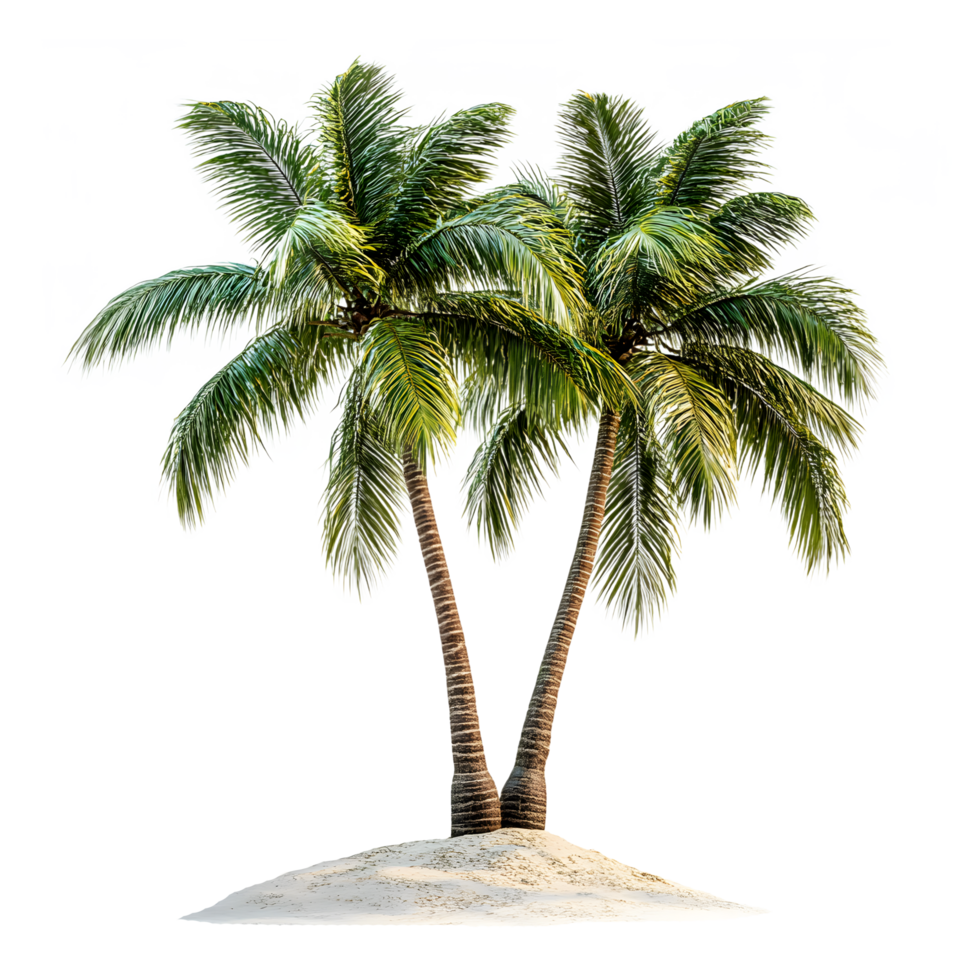 Two Tropical Palm Trees on a Sandy Island png