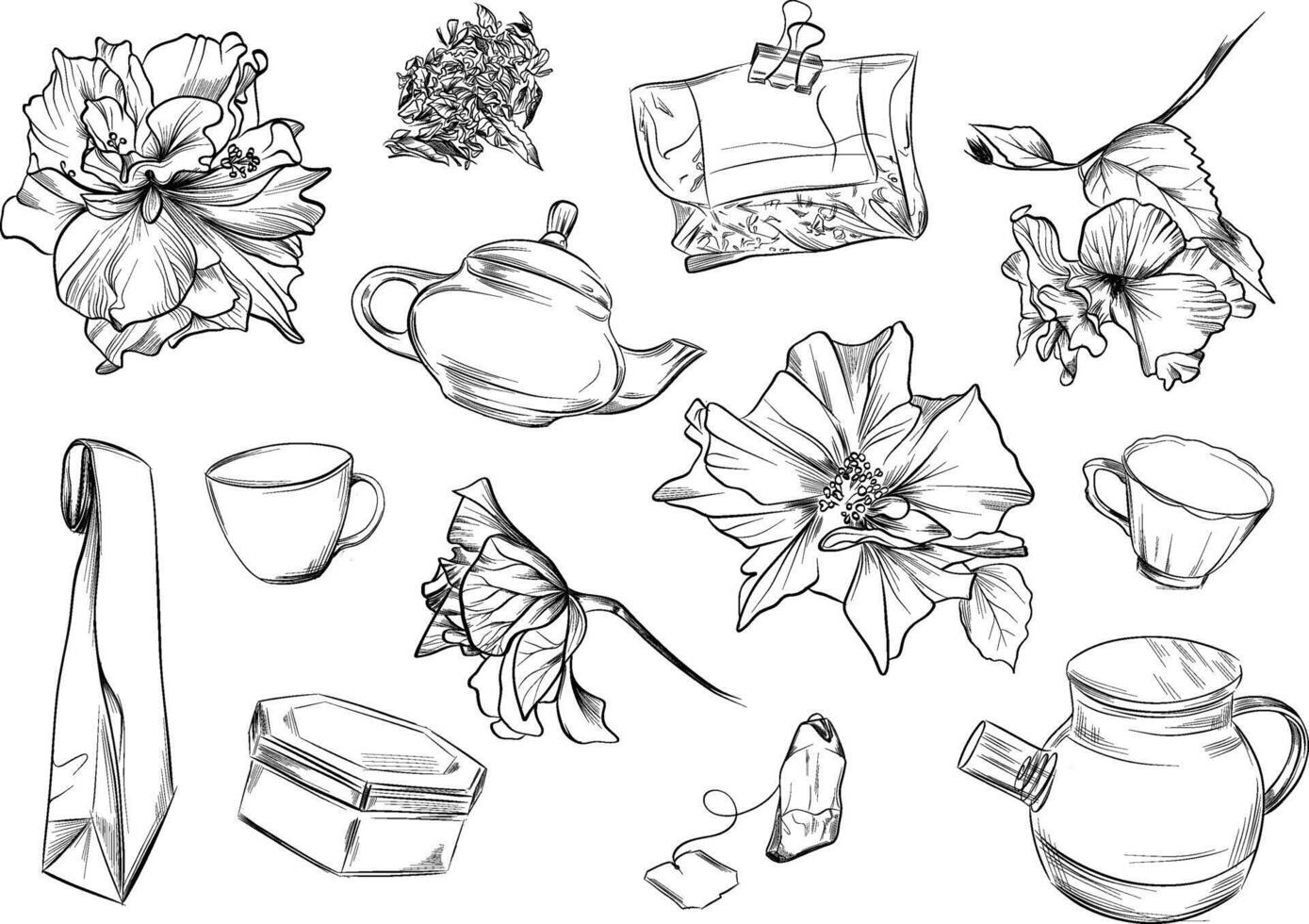 Set of hibiscus tea elements vector