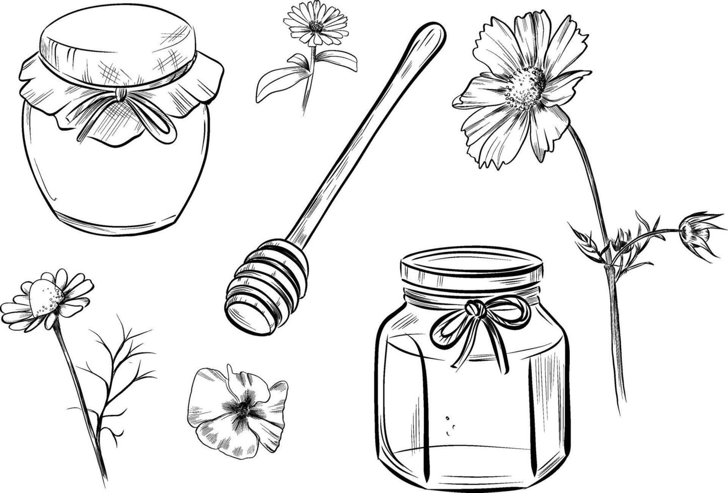 Hand drawn honey jars and herbal flowers sketch vector