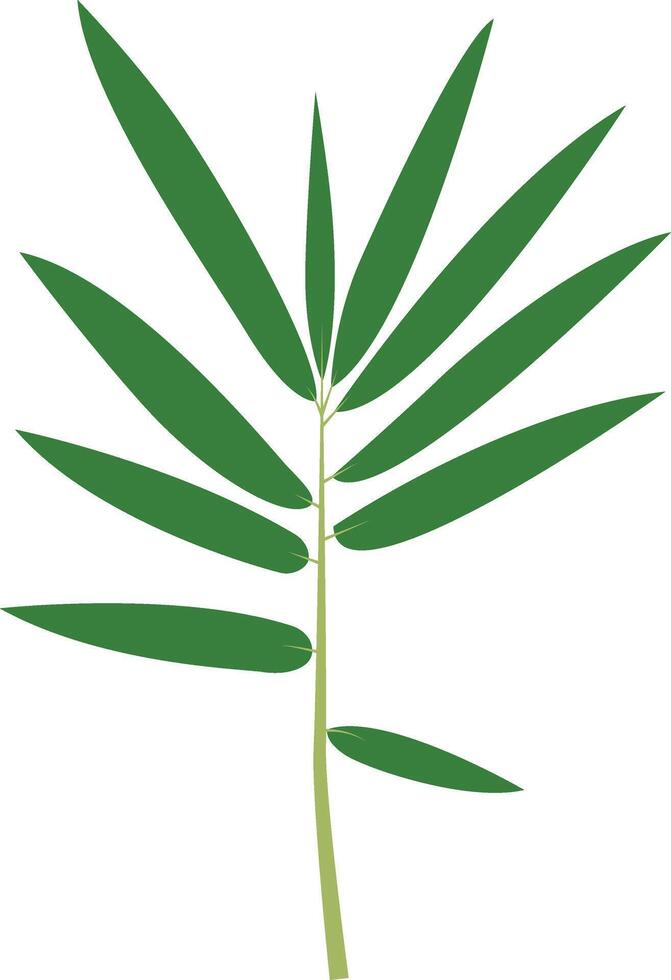 Tropical Leaves Clipart, Isolated on White Background. vector